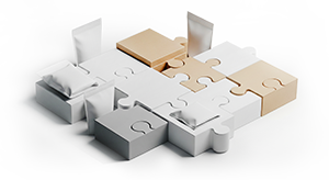 CUSTOMIZED SOLUTIONS
