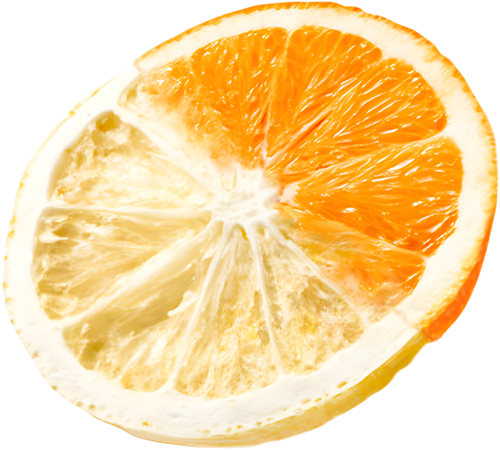 WHAT IS FREEZE-DRYING?