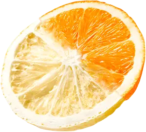FREEZE-DRYING NEDİR?