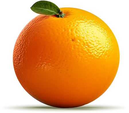 Liyofil